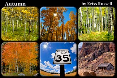 Autumn_Collection