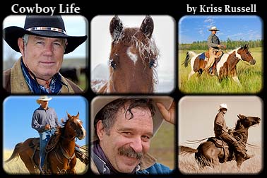 Cowboy_Life_Collection