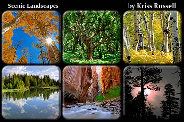 Scenic_Landscape_Collection